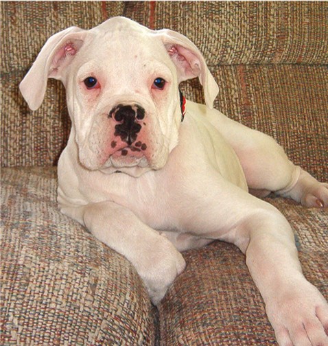 Meet our newest member
