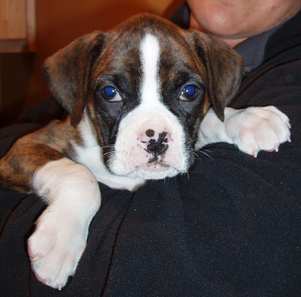 Meet Quinn