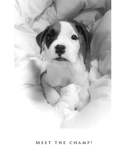 Meet The Champ! :-)