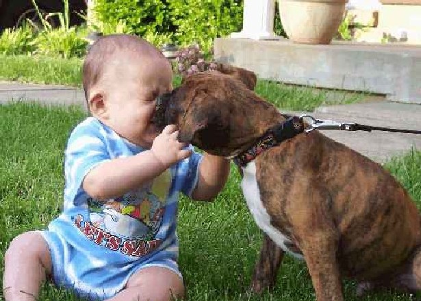 Meeting a new friend