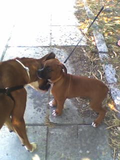 meeting at the park