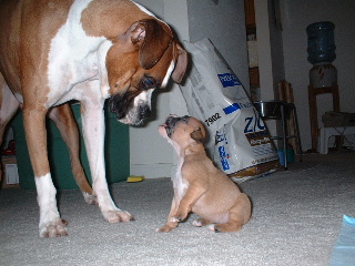 Meeting for the first time