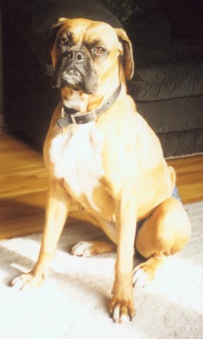 Megera (this is my serious look)
