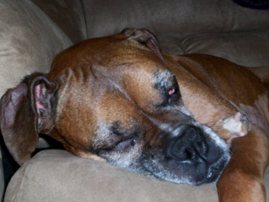 Meisha Marie nap time