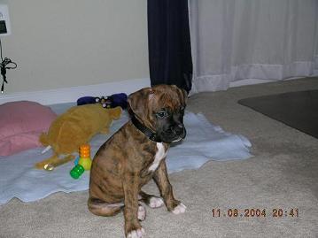 Meko9wks7