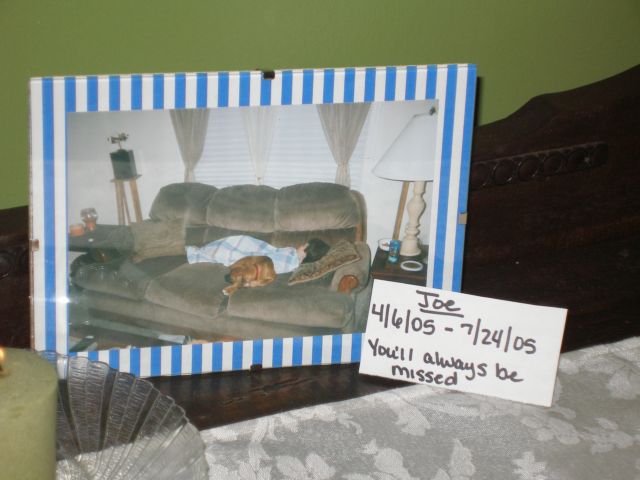 Memorial for Joe pic2