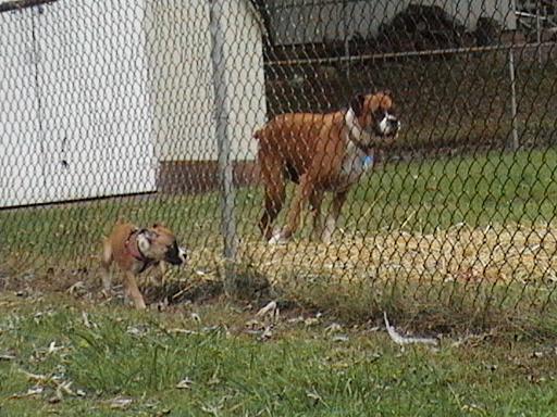 Mercede & Sugar