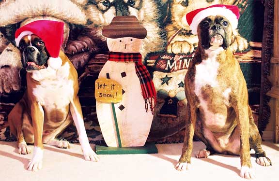 Merry Christmas (2003) from Dempsey and Maximus