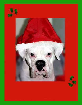 Merry Christmas and happy new year!!