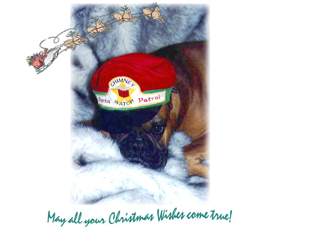 Merry Christmas Everyone!