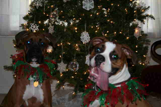 Merry  Christmas Everyone!