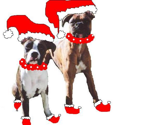 Merry Christmas!!  Love Taya & Mateus