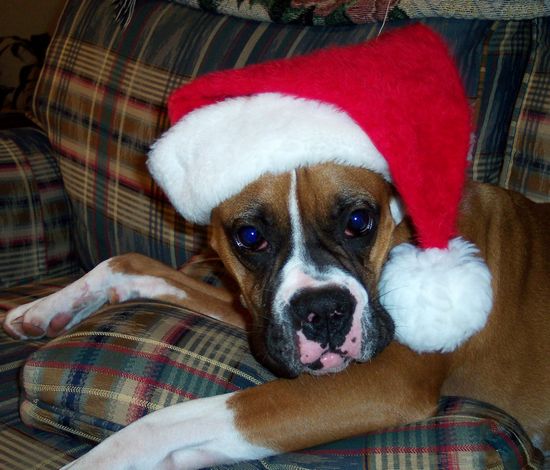 Merry Christmas to all..