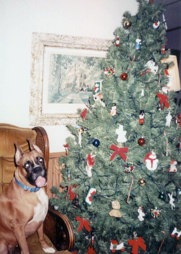 Merry Christmas
