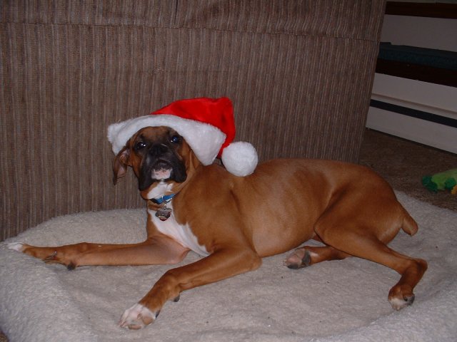 Merry Christmas