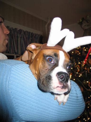 Merry X-mas