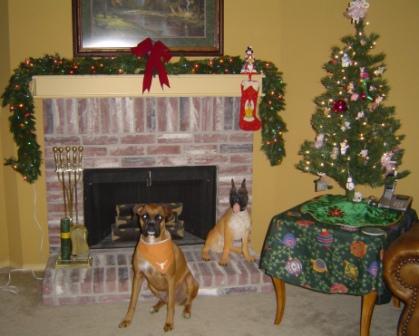 Merry_Christmas2005