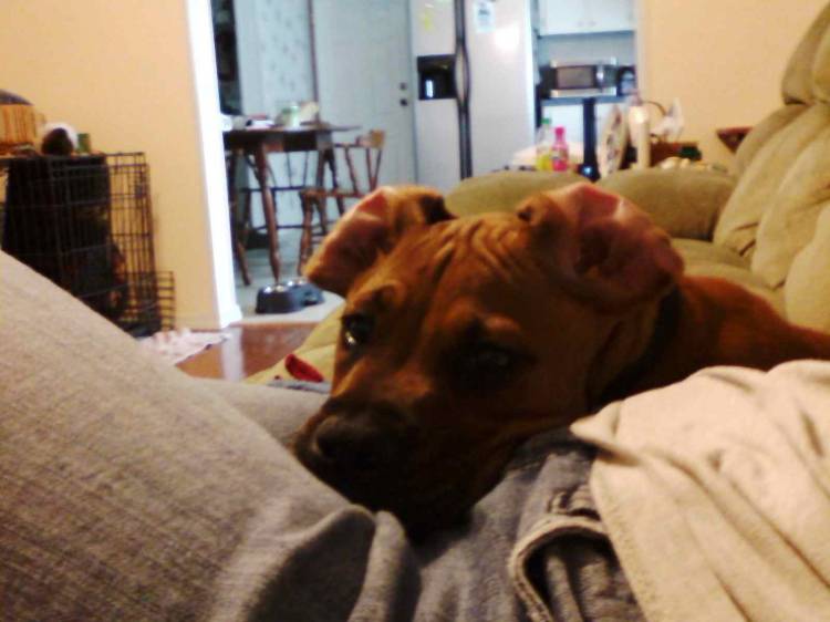 messy ears