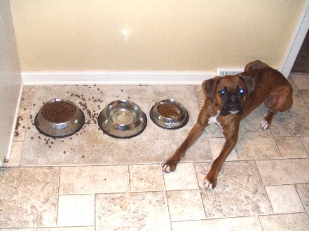 Messy Eater