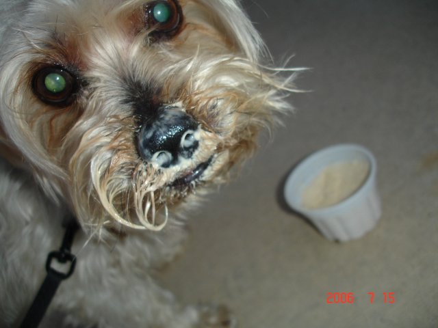 Messy Face