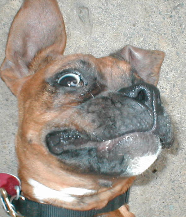 Metal's big eyeball