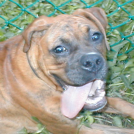 Metal's Tounge