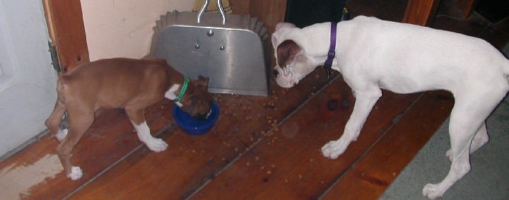 Mia and Rocko