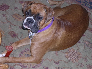 Mia at 13 months