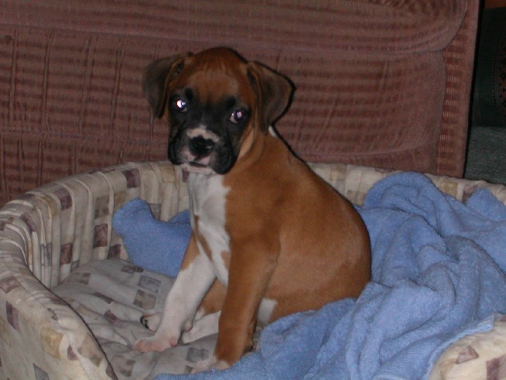 Mia at 2months