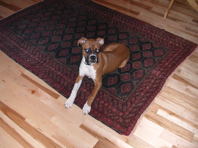Mia at 6 months