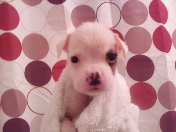 Mia baby pic