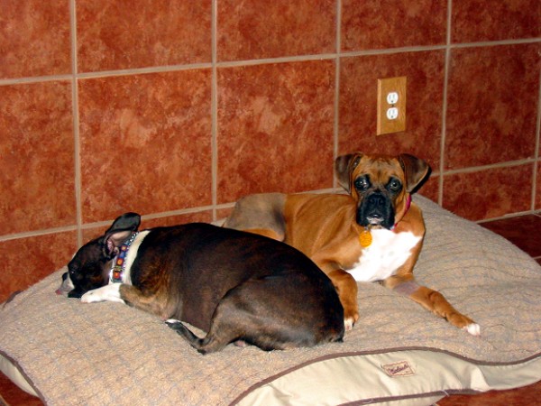 Mia & Bea