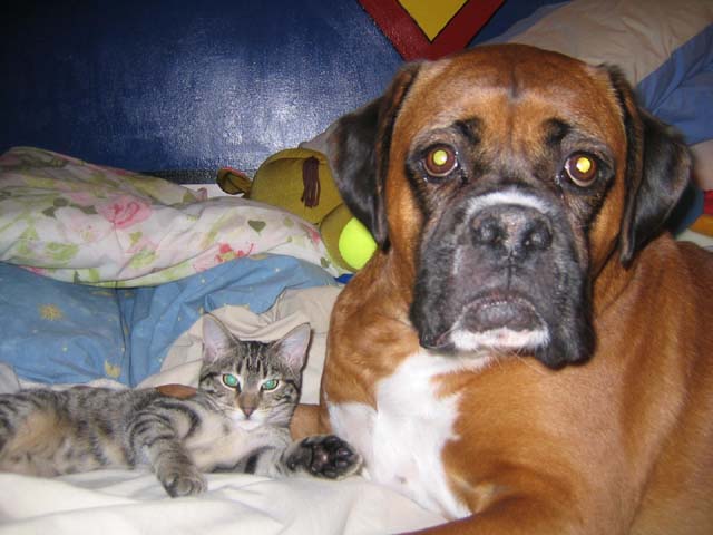 Mia & Dukes