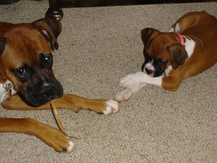 Mia & Lowla