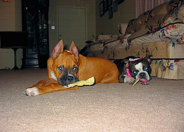 Mia & Rocky