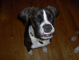 Mia smile