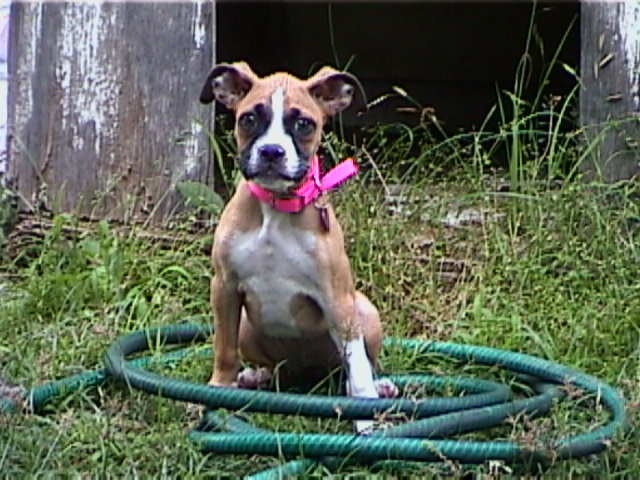 Mia & The Water Hose