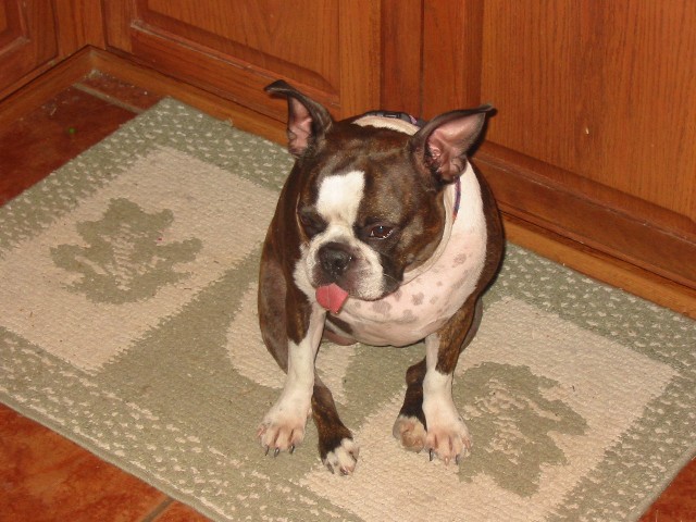Mia wants breakfast now