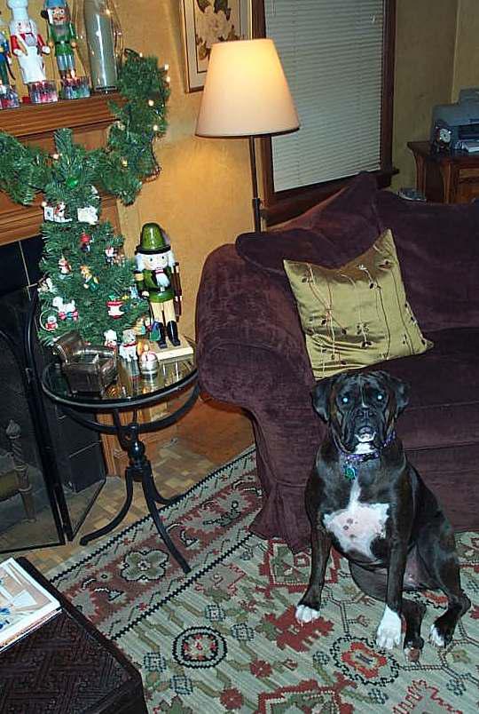 Mia Xmas 2003