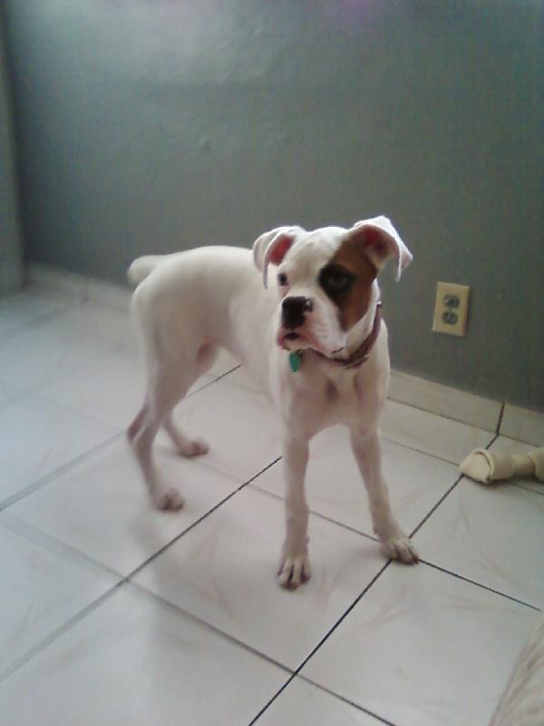 mia