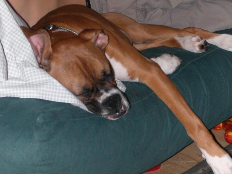 Mia's passed out