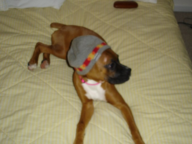 Mia's Winter Hat