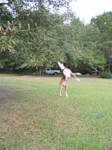 Michael Jordan's got nothing on me