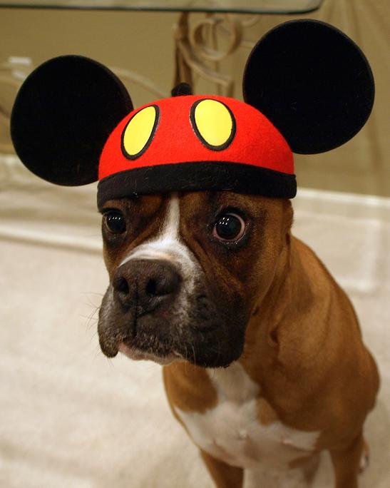Mickey Tre