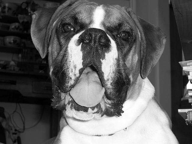 Miles & 8 Months