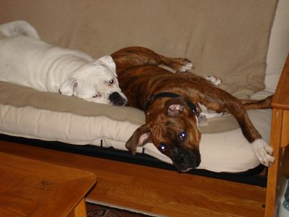 Miller & Kayla