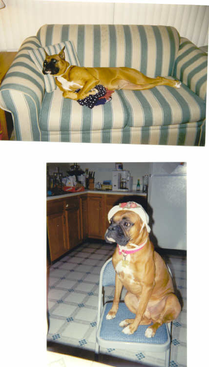 Millie Girl (R.I.P)