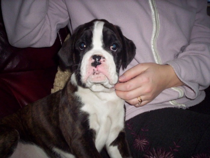 Milly @ 8 weeks