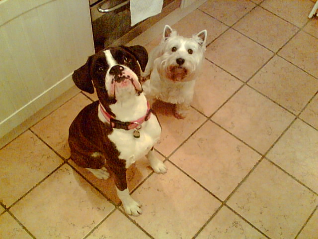 Milly and Holly