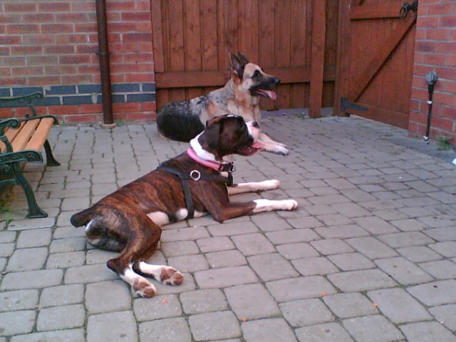 Milly and Tera...